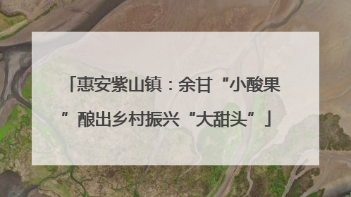 惠安紫山镇：余甘“小酸果”酿出乡村振兴“大甜头”