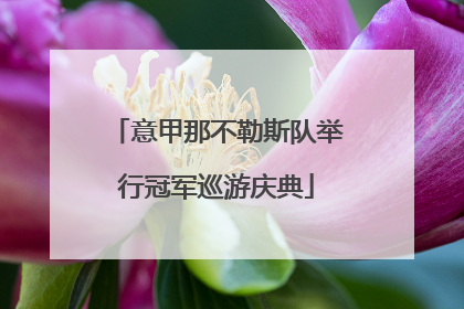 意甲那不勒斯队举行冠军巡游庆典