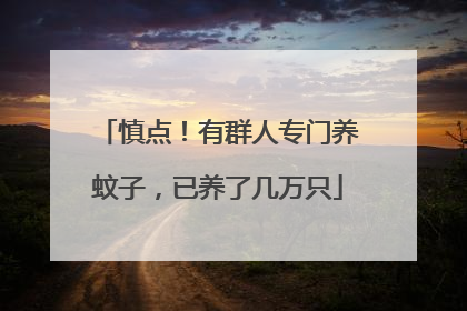 慎点！有群人专门养蚊子，已养了几万只