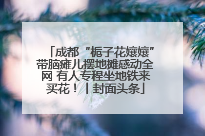 成都“栀子花孃孃”带脑瘫儿摆地摊感动全网 有人专程坐地铁来买花！丨封面头条