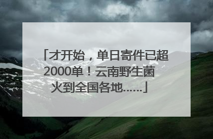才开始，单日寄件已超2000单！云南野生菌火到全国各地……