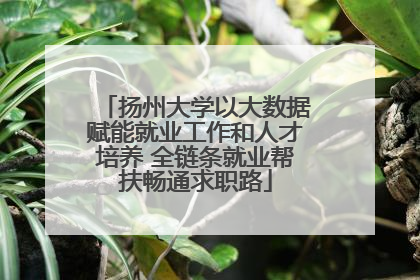 扬州大学以大数据赋能就业工作和人才培养 全链条就业帮扶畅通求职路