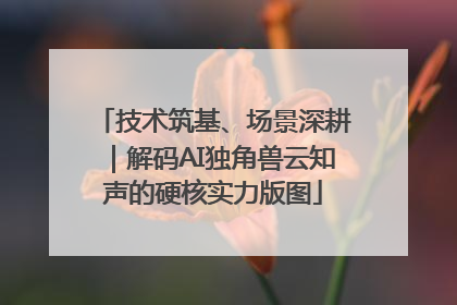 技术筑基、场景深耕｜解码AI独角兽云知声的硬核实力版图
