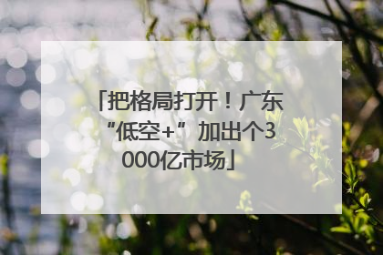 把格局打开！广东“低空+”加出个3000亿市场