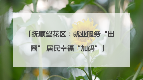 抚顺望花区：就业服务“出圈” 居民幸福“加码”