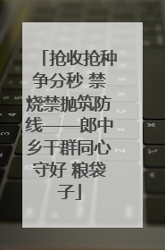 抢收抢种争分秒 禁烧禁抛筑防线——郎中乡干群同心守好 粮袋子