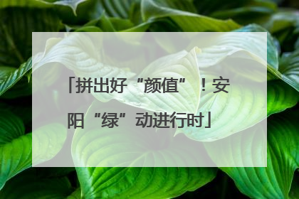 拼出好“颜值”！安阳“绿”动进行时