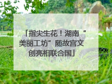 指尖生花！湖南“美丽工坊”随故宫文创亮相联合国