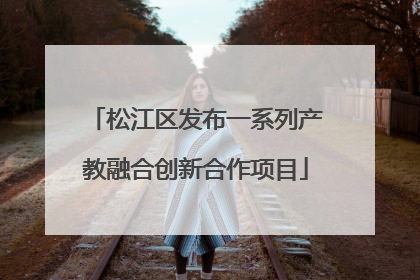 松江区发布一系列产教融合创新合作项目