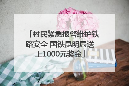 村民紧急报警维护铁路安全 国铁昆明局送上1000元奖金