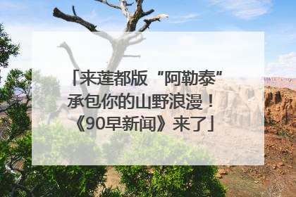 来莲都版“阿勒泰” 承包你的山野浪漫！《90早新闻》来了