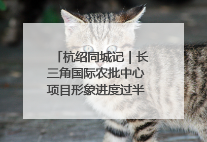 杭绍同城记｜长三角国际农批中心项目形象进度过半，华东“菜篮子”建设加码提速！