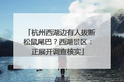 杭州西湖边有人拔断松鼠尾巴？西湖景区：正展开调查核实