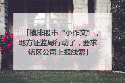 摸排股市“小作文”，地方证监局行动了，要求辖区公司上报线索