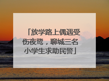 放学路上偶遇受伤夜鹭，聊城三名小学生求助民警
