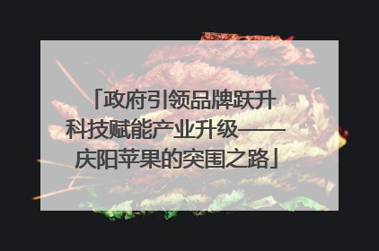政府引领品牌跃升 科技赋能产业升级——庆阳苹果的突围之路