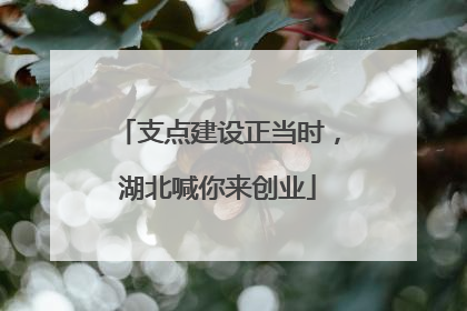 支点建设正当时，湖北喊你来创业