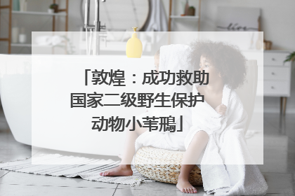敦煌：成功救助国家二级野生保护动物小苇鳽
