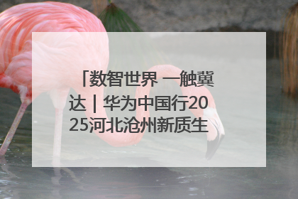 数智世界 一触冀达｜华为中国行2025河北沧州新质生产力峰会成功举办