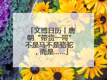 文博日历丨唐朝“带货一哥”不是马不是骆驼，而是……