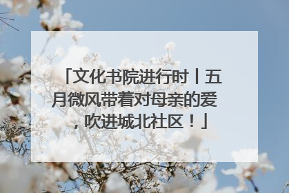 文化书院进行时丨五月微风带着对母亲的爱，吹进城北社区！