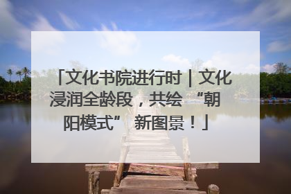 文化书院进行时｜文化浸润全龄段，共绘 “朝阳模式” 新图景！