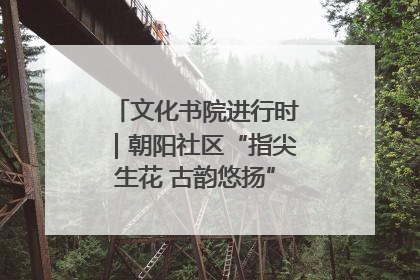 文化书院进行时｜朝阳社区“指尖生花 古韵悠扬”公益课堂开课了