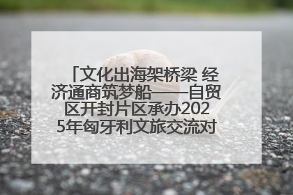 文化出海架桥梁 经济通商筑梦船——自贸区开封片区承办2025年匈牙利文旅交流对接活动专场