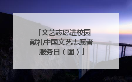 文艺志愿进校园 献礼中国文艺志愿者服务日（图）