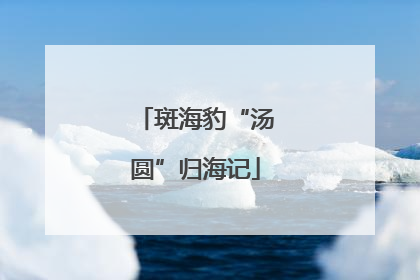 斑海豹“汤圆”归海记