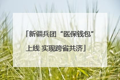 新疆兵团“医保钱包”上线 实现跨省共济