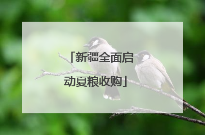 新疆全面启动夏粮收购