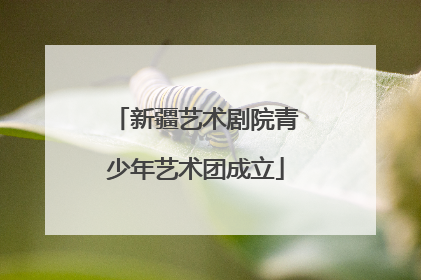 新疆艺术剧院青少年艺术团成立
