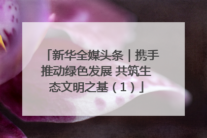 新华全媒头条｜携手推动绿色发展 共筑生态文明之基（1）