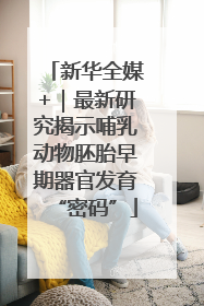 新华全媒+｜最新研究揭示哺乳动物胚胎早期器官发育“密码”