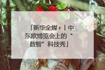 新华全媒+丨中东欧博览会上的“数智”科技秀