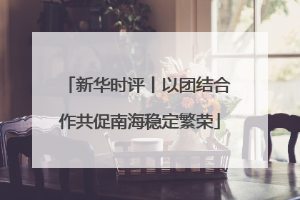 新华时评丨以团结合作共促南海稳定繁荣