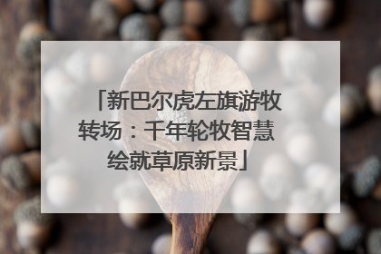 新巴尔虎左旗游牧转场：千年轮牧智慧绘就草原新景