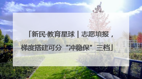 新民·教育星球｜志愿填报，梯度搭建可分“冲稳保”三档