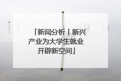 新闻分析丨新兴产业为大学生就业开辟新空间