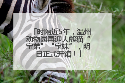 时隔近5年，温州动物园再迎大熊猫“宝弟”“宝妹”，明日正式开馆！