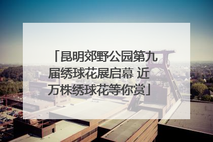 昆明郊野公园第九届绣球花展启幕 近万株绣球花等你赏