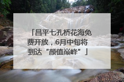 昌平七孔桥花海免费开放，6月中旬将到达“颜值巅峰”