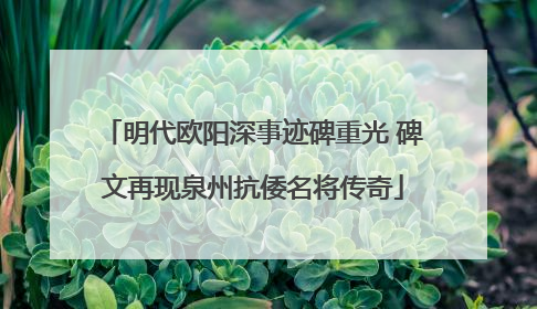 明代欧阳深事迹碑重光 碑文再现泉州抗倭名将传奇