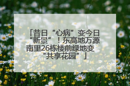 昔日“心病”变今日“新景”！东高地万源南里26栋楼前绿地变“共享花园”