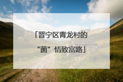 晋宁区青龙村的“菌”情致富路