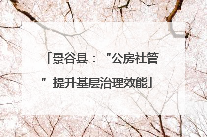 景谷县：“公房社管”提升基层治理效能