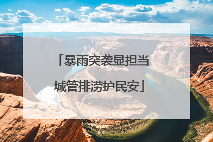 暴雨突袭显担当 城管排涝护民安
