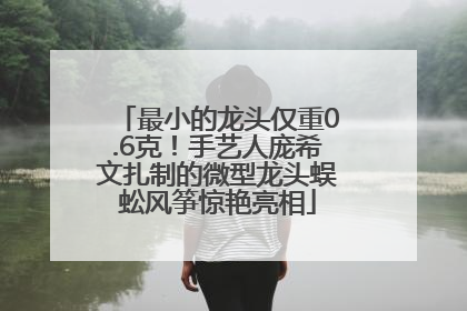 最小的龙头仅重0.6克！手艺人庞希文扎制的微型龙头蜈蚣风筝惊艳亮相