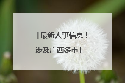 最新人事信息！涉及广西多市